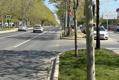 Theodor Pallady ! Pozitie top ! Casa + teren , str. Drumul Lunca Jaristei ! - 4