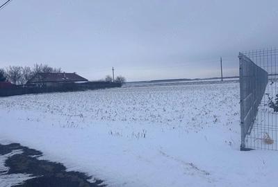 Teren de 1000 mp, în Gostilele - 4