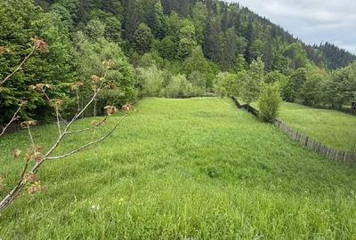 Teren de 2777 mp, în Apa Asău - 2