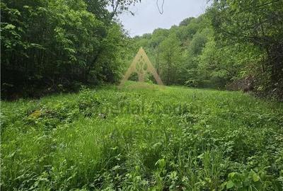 Teren de 2842 mp, în Vest - 7