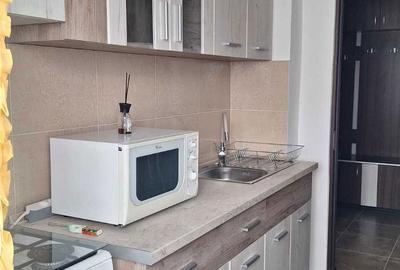 Apartament cu 2 camere decomandat în Nufărul