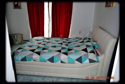 Casa individuala in Salicea D+P finisata mobilata - 8