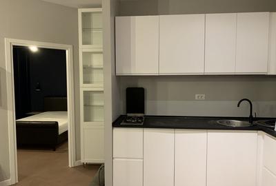 Apartament cu 2 camere semidecomandat, mobilat în Herăstrău - 8