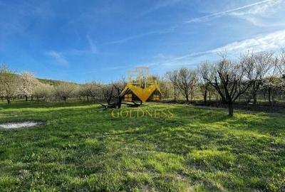 Teren agricol intravilan de 5500 mp, în Sopor