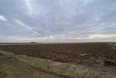 Teren 8973 mp intravilan loc. Albota, jud. Arges. Comision 0% - 2