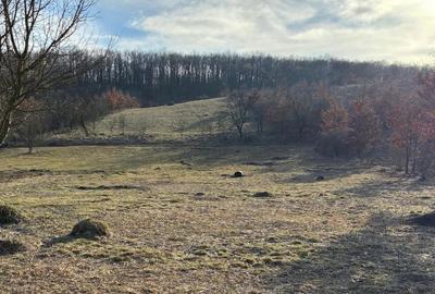 Spațiu comercial, în Central - 7