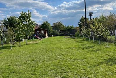 Spațiu comercial, în Ampoi 2 - 3