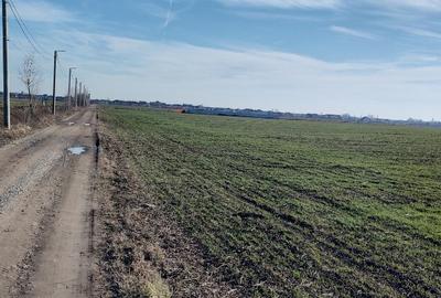 Direct proprietar teren intravilan 700mp Otopeni Odai Direct proprietar teren intravilan 700mp Otopeni Odai - 3