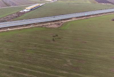 Teren Construcții intravilan de 29777 mp, în Ștefăneștii de Jos - 3