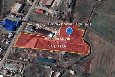 Complex industrial  cu teren 18,672 mp Târgu Lăpuș - 1