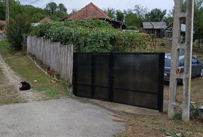 Casă cu 4 camere cu Teren 2700 Mp în Șișești - 1