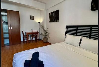 Garsoniera - Splaiul Independentei - 3