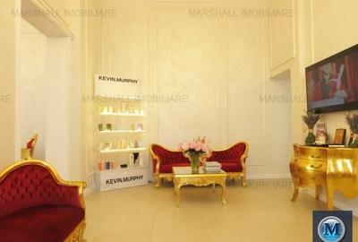 Vila cu 14 camere de vanzare, zona Ultracentral, 327 mp #13125 - 11