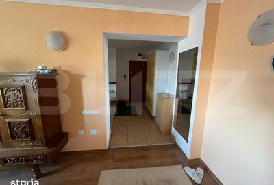 Apartament cu 3 camere în Nufărul - 3
