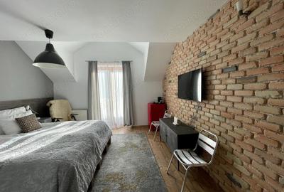 De vanzare Boutique Hotel, locatie functionala, zona Cheile Nerei - 5