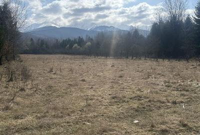 Spațiu comercial, în Drăguș - 5