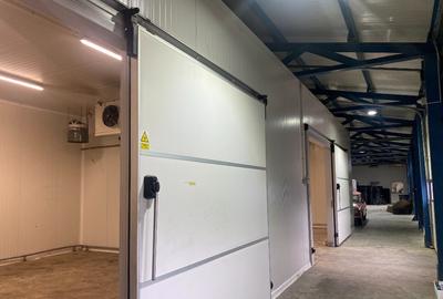 VIGAFON - Hala frigorifica-spatiu depozitare Boldesti-Scaeni - 8