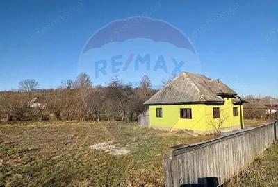 Casă cu 3 camere cu Teren 2097 Mp în Sârbi (Budești) - 10