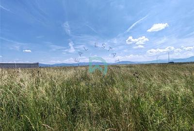 Teren Construcții intravilan de 7700 mp, în Prejmer - 2