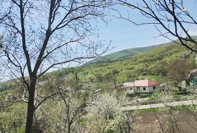 Teren de 1400 mp, în Gârbova - 6