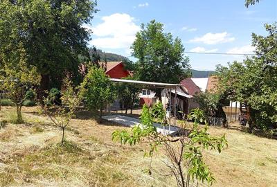 Casă individuală cu 4 camere cu Teren 1439 Mp în Vest - 20