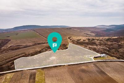 Vie de 115 Hectare in satul Dud, jude?ul Arad - 3