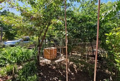 Casă individuală cu 3 camere cu Canalizare în Rahova - 17