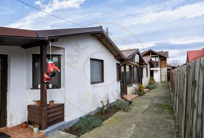 Doua case in aceeasi curte Pitesti, Strada Turcesti - 20