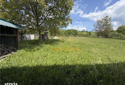 Casă cu 4 camere cu Teren 1200 Mp în Sântandrei - 5