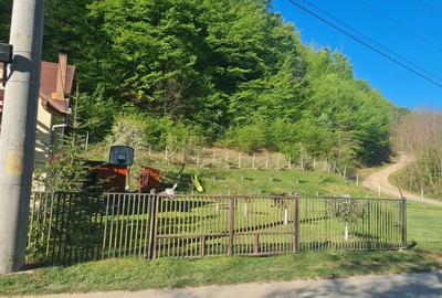 Casă cu 4 camere în Strungari - 5