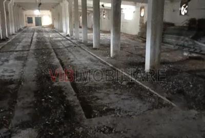 Timis - Or?i?oara, hala industriala cu etaj de vanzare 2.150 mp, teren 1.880 mp - 3