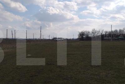 Teren intravilan in Rascruci - Bontida, 7558 mp, front la 3 - 3