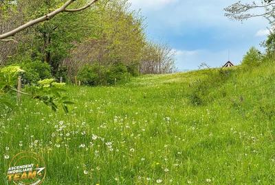 6.500 mp teren intravilan, la 10 min de orasul Covasna: Papauti - 3