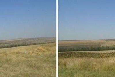 Teren de 6000 mp, în Vârlezi - 1