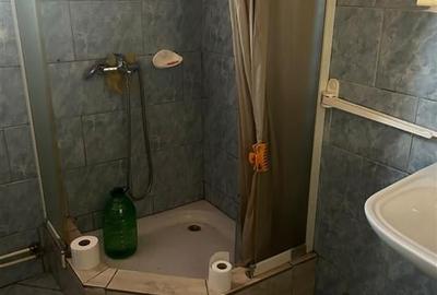 RECO casa batraneasca Sacueni - 10
