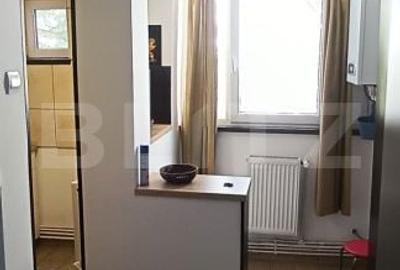 Garsonieră decomandată în Alexandru cel Bun - 1