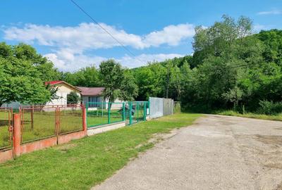 VANZARE teren intravilan 6011mp Mislea Scorteni Prahova Telega Prahova utilitati