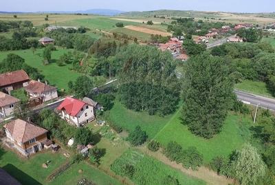 Teren Intravilan Paniceni | Strada Principala | Comision 0% - 2