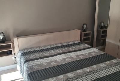 Apartament cu 2 camere semidecomandat, mobilat în Nufărul - 3
