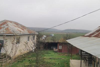 Casă individuală cu 4 camere cu Teren 7000 Mp în Argetoaia - 4