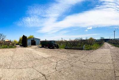 Spațiu comercial, în Central - 1