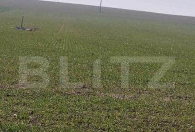 Teren intravilan cu o suprafata 1500 mp in zona Metro - 4