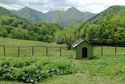Casa de Vacanta / Cabana / Vila / Pensiune / Lepsa Vrancea -Munte - 6