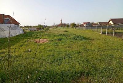 Casă cu 4 camere în Iosif - 6
