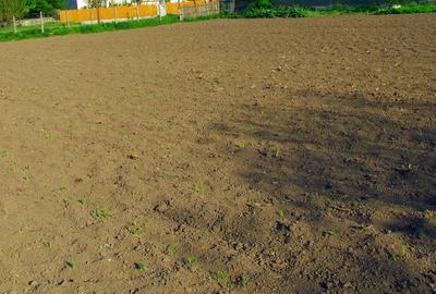 Casă cu 5 camere cu Teren 890 Mp în Nicolae Bălcescu - 12