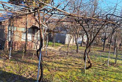 Casă cu 1 camere în Niuved - 4