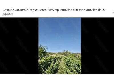 Casă cu Teren 1450 Mp în Gohor - 4