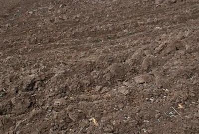 De vânzare teren intravilan - 1