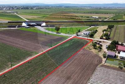 Teren de 6300 mp, în Jorăști - 5