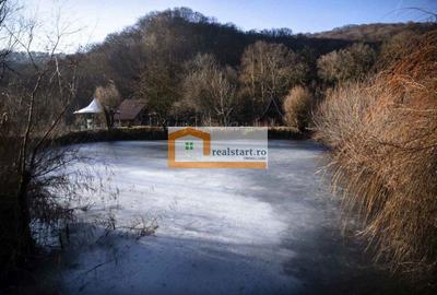 Ideal Evenimente Private, restaurant, pensiune, 1,8ha teren, padure - 16